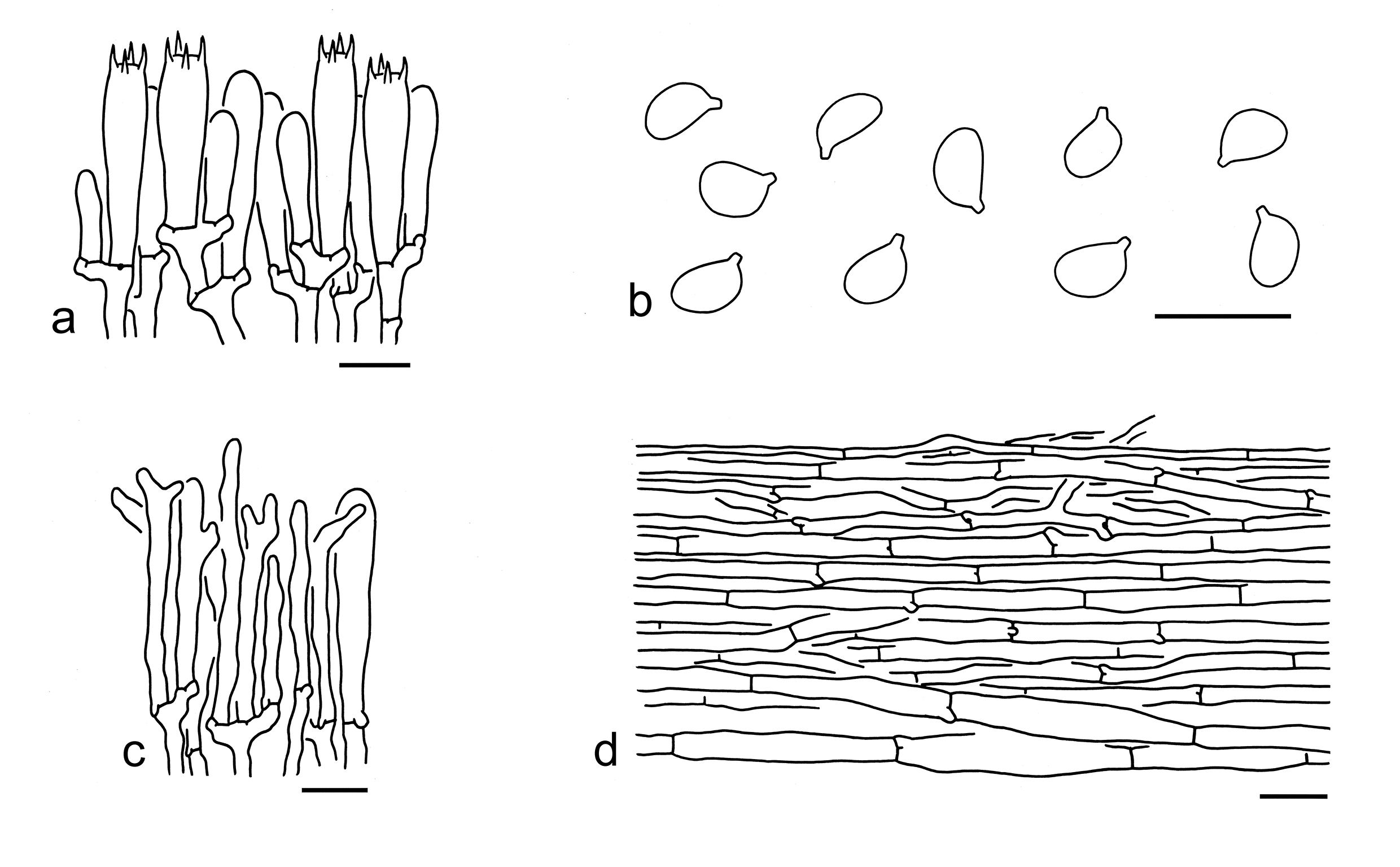 Figure 72